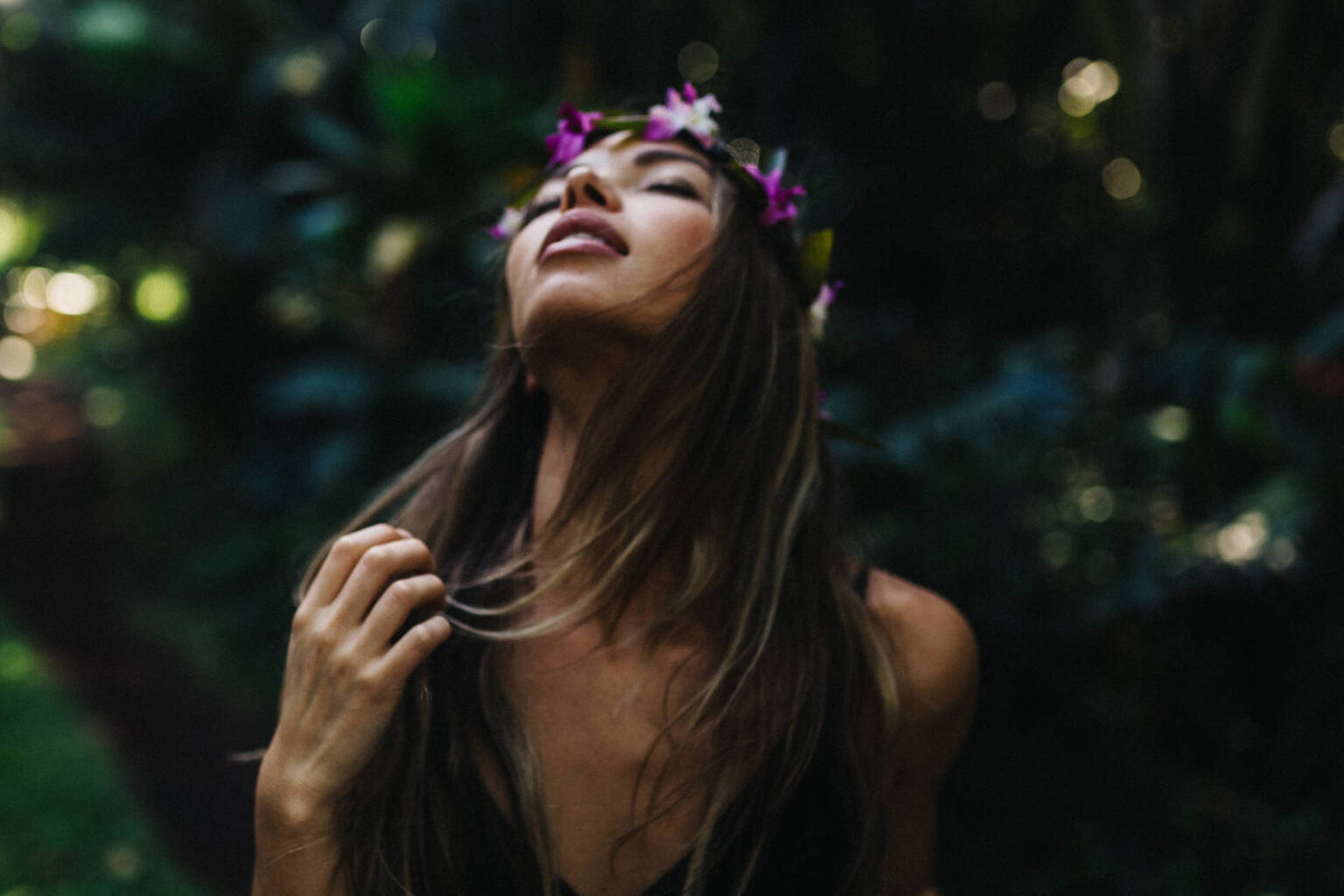 Meet Our Pets of the Week: An Arabian Mix Horse